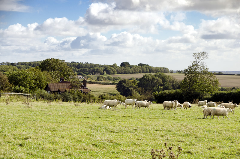 bed and breakfast milton abbas