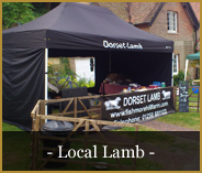 bed and breakfast blandford